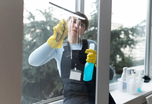 Nettoyage de vitres intérieures et extérieures à Bois-d'Amont